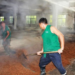 喚醒兩千余條窖池，新的釀酒季由此開(kāi)始