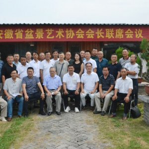安徽省盆景藝術(shù)協(xié)會(huì)會(huì)長(zhǎng)聯(lián)席會(huì)議在阜陽召開