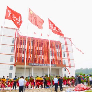 安徽胡王府：預(yù)制菜產(chǎn)業(yè)新生力量，助推鄉(xiāng)村振興